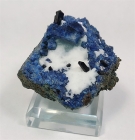 Benitoite with Neptunite, Druzy Crystals, Benitoite Gem Mine, San Benito County, California