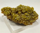 Pyromorphite, Bunker Hill Mine, 9th Level, Jersey Vein, Kellog, Shoshone County, Idaho