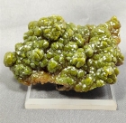 Pyromorphite, Bunker Hill Mine, 9th Level, Jersey Vein Kellog, Shoshone County, Idaho