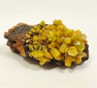 Pyromorphite, Bunker Hill Mine, 9th Level, Jersey Vein Kellog, Shoshone County, Idaho