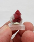 Spinel on Calcite, (#1) Mahenge, Morogoro Region, Tanzania