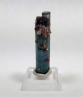 Tourmaline with Lepidolite, Pederneira Mine, São José da Safira, Minas Gerais, Brazil