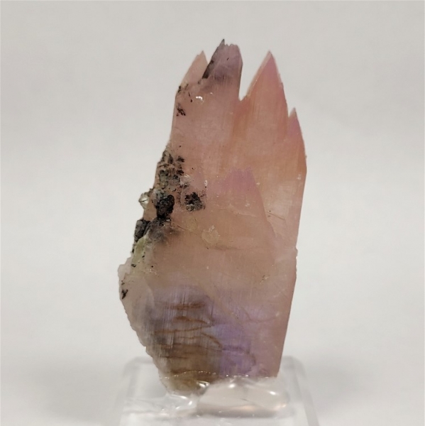 Multi-Colored Zoisite, aka Tanzanite, Merelani Hills, Tanzania