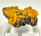 Wulfenite and Mimetite, San Francisco Mine, Magdalena, Sonora, Mexico